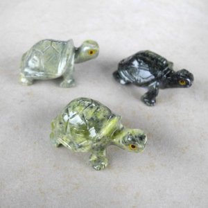 Serpentin Schildkröte