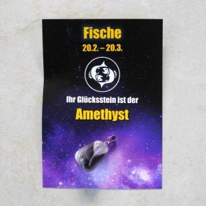 Sternzeichen - Set Fische
