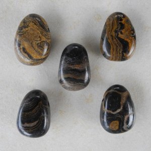 Stromatolith Anhänger Trommelstein