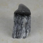 Schwarzer Turmalin / Schörl Anschliff, ca. 8,5 x 4,5...