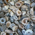 Glücksgeoden - Achatgeoden 2 - 3 cm, 10 Stück