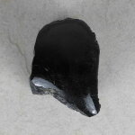 Schwarzer Turmalin / Schörl Anschliff, ca. 5 x 4 x 6 cm