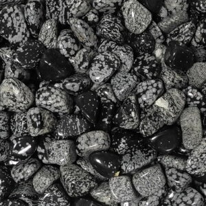 Schneeflockenobsidian Trommelstein Größe 2 - 3,5 cm, 1 Stück