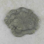 Pyritsonne 8 x 6 cm - Einzelstück