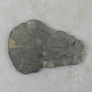 Pyritsonne 95 x 70 mm - Einzelstück