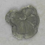 Pyritsonne 8 x 8 cm - Einzelstück