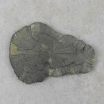 Pyritsonne 95 x 70 mm - Einzelstück