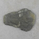 Pyritsonne 95 x 70 mm - Einzelstück