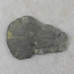 Pyritsonne 95 x 70 mm - Einzelstück