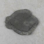 Pyritsonne 75 x 60 mm - Einzelstück